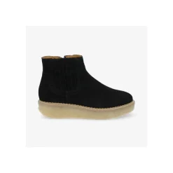 - PALLAS ZIP BEETLE W