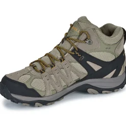 ACCENTOR 3 MID WP