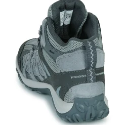 ACCENTOR 3 MID WP