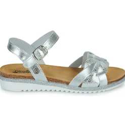 ANEMONI