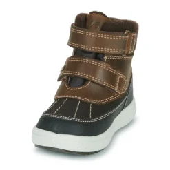 BARTH 19 GTX