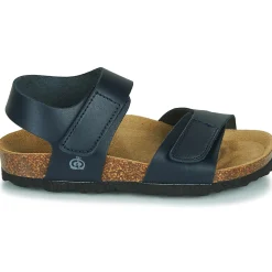 BELLI JOE