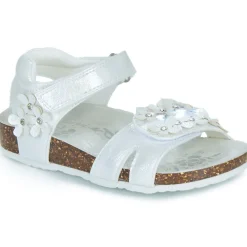 BIO SAND LIGHT