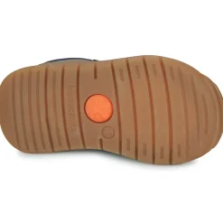 BIOGATEO BIOTEX