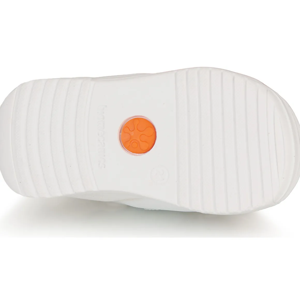 BIOGATEO SPORT