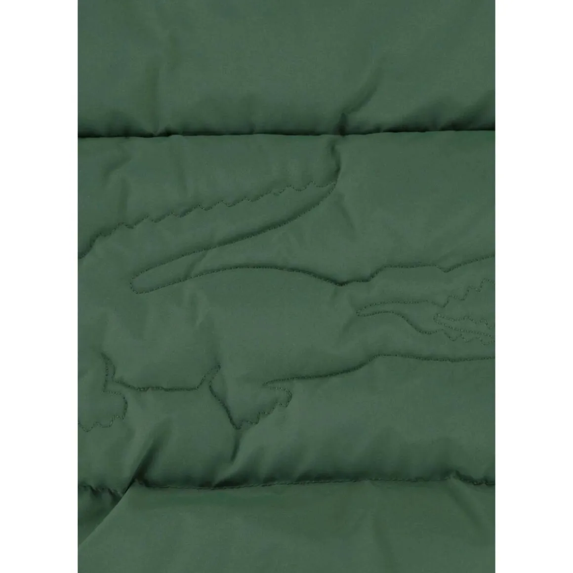Blousons Lacoste 10150503612755VERDE
