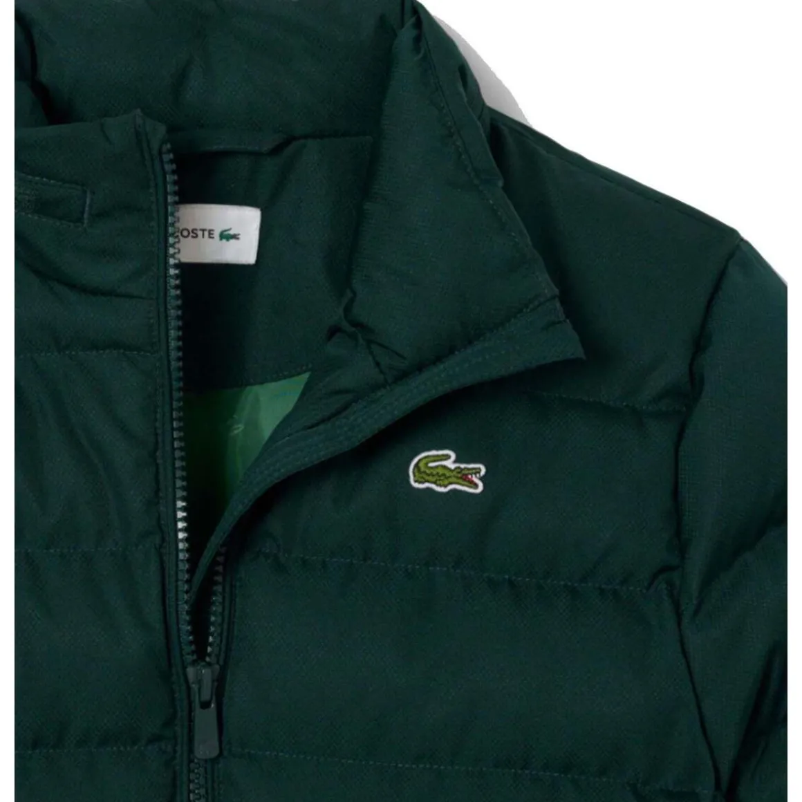 Blousons Lacoste 10150500270419VERDE