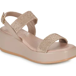 DONNA ENGY