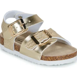 2203940-DOURADO
