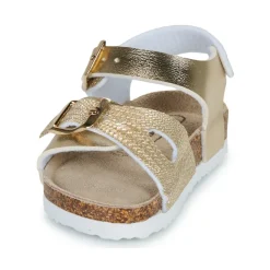 2203940-DOURADO