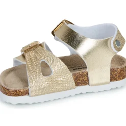 2203940-DOURADO