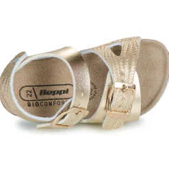 2203940-DOURADO