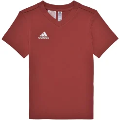 ENT22 TEE Y