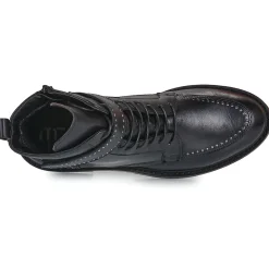 FABIA STUD