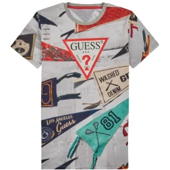 FLAG PRINT