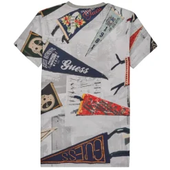 FLAG PRINT