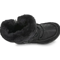 FROZEN GTX