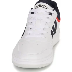 HOOPS 3.0