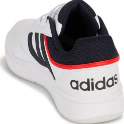 HOOPS 3.0