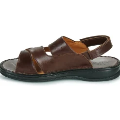 IPOLAME