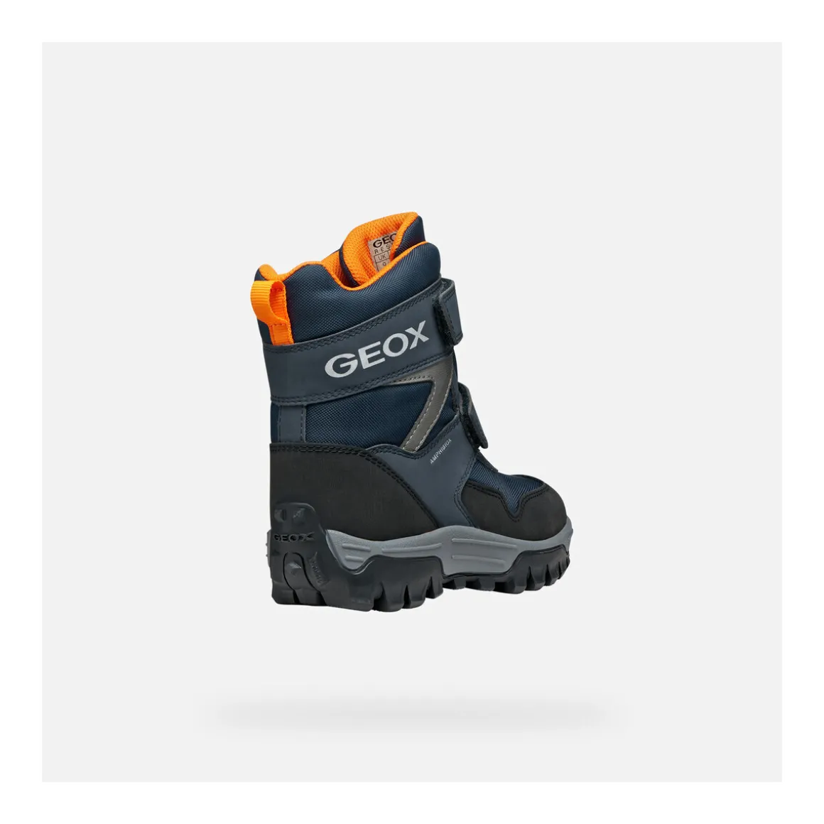 J HIMALAYA BOY B ABX