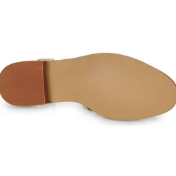JIPAS