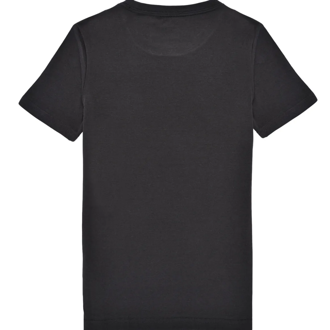 LVB SOAR LIKE AN EAGLE TEE