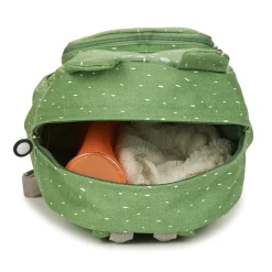 MISTER FROG