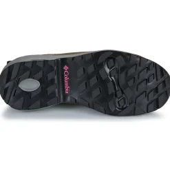 NEWTON ALPINE PT