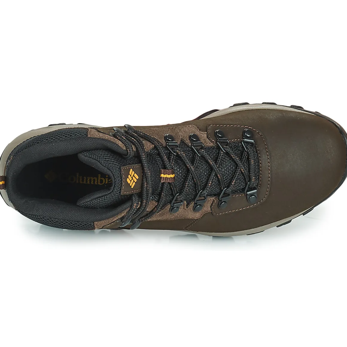 NEWTON RIDGE PLUS II WATERPROOF