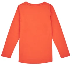 NMFVIX LS TOP