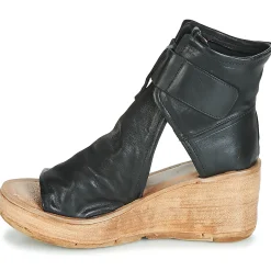 NOA BUCKLE