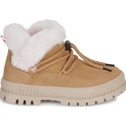 PALLASHOCK LO HIVER