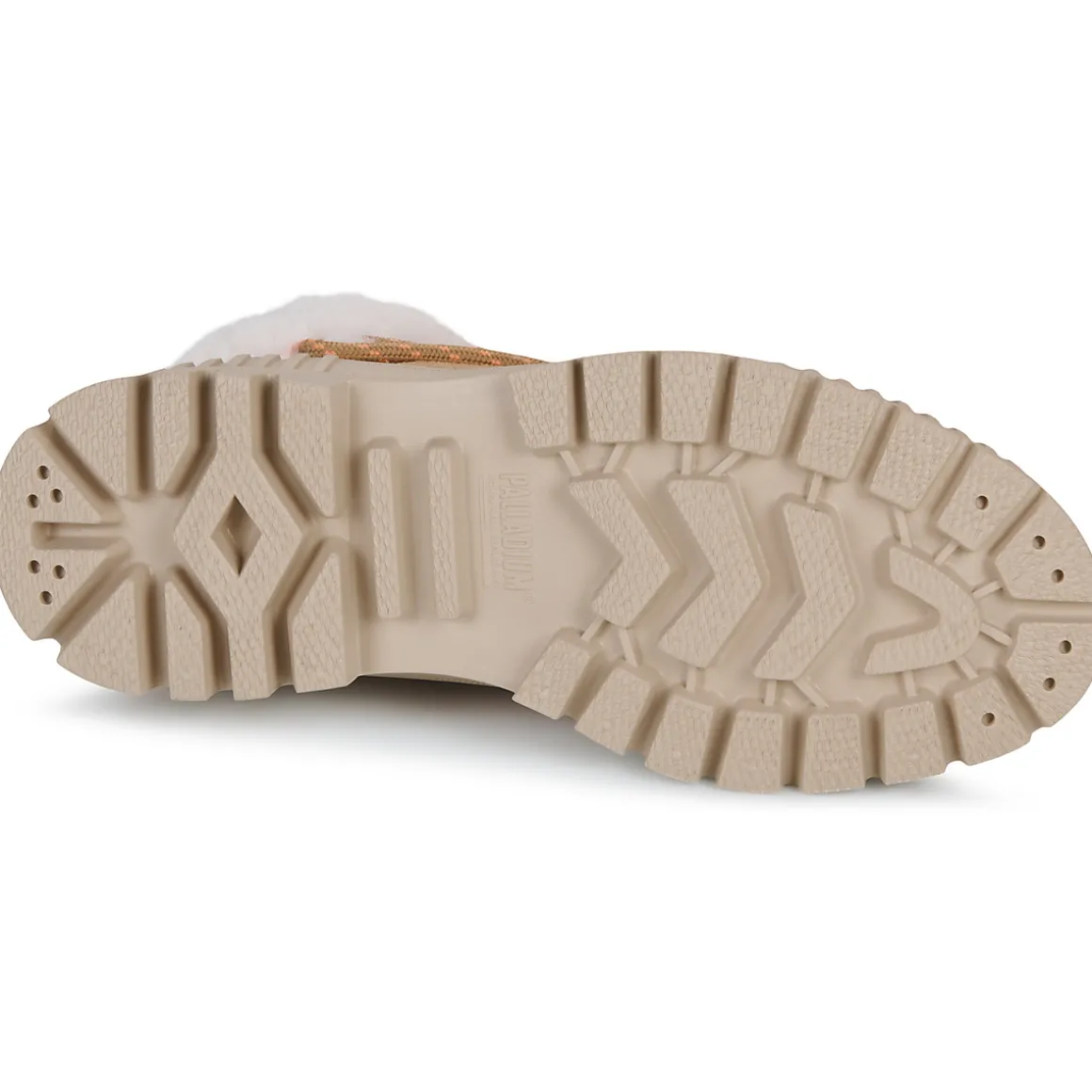 PALLASHOCK LO HIVER