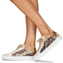 PAVLINA