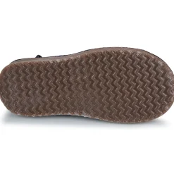 PICO
