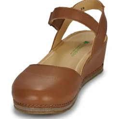 PICUAL N5850