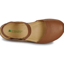 PICUAL N5850