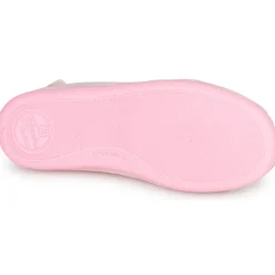 PIDDI
