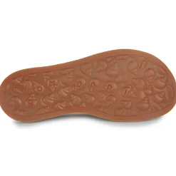 PLAGETTE GLADIATOR