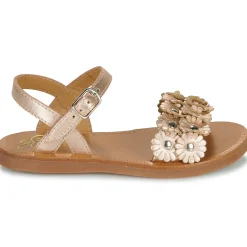 PLAGETTE MULTI FLO