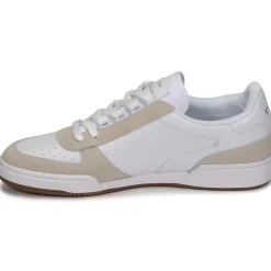 POLO CRT PP