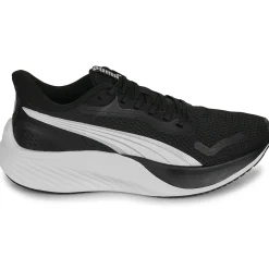 Pounce Lite