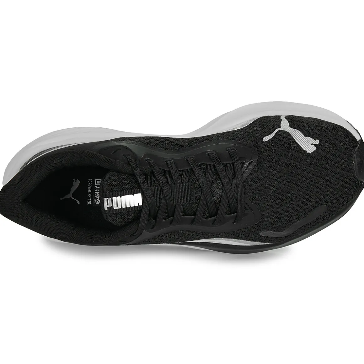 Pounce Lite