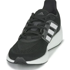 PUREBOOST 22