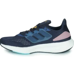 PUREBOOST 22 W