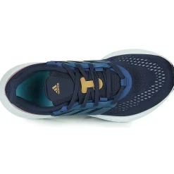 PUREBOOST 22 W