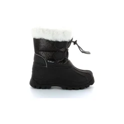 Sealsnow