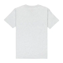 Substitute