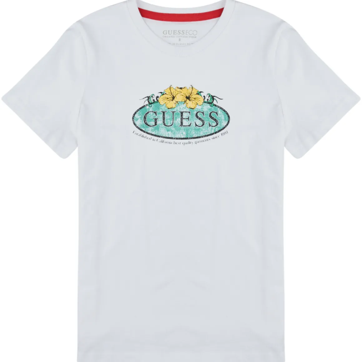 T SHIRT